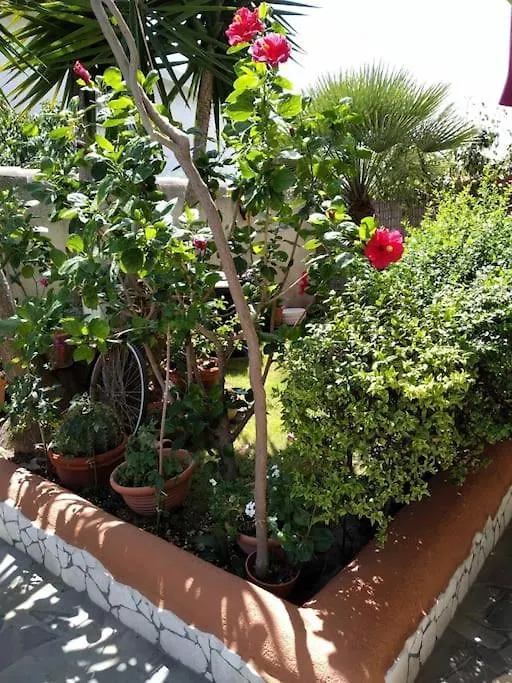오로세 Gollai House 아파트