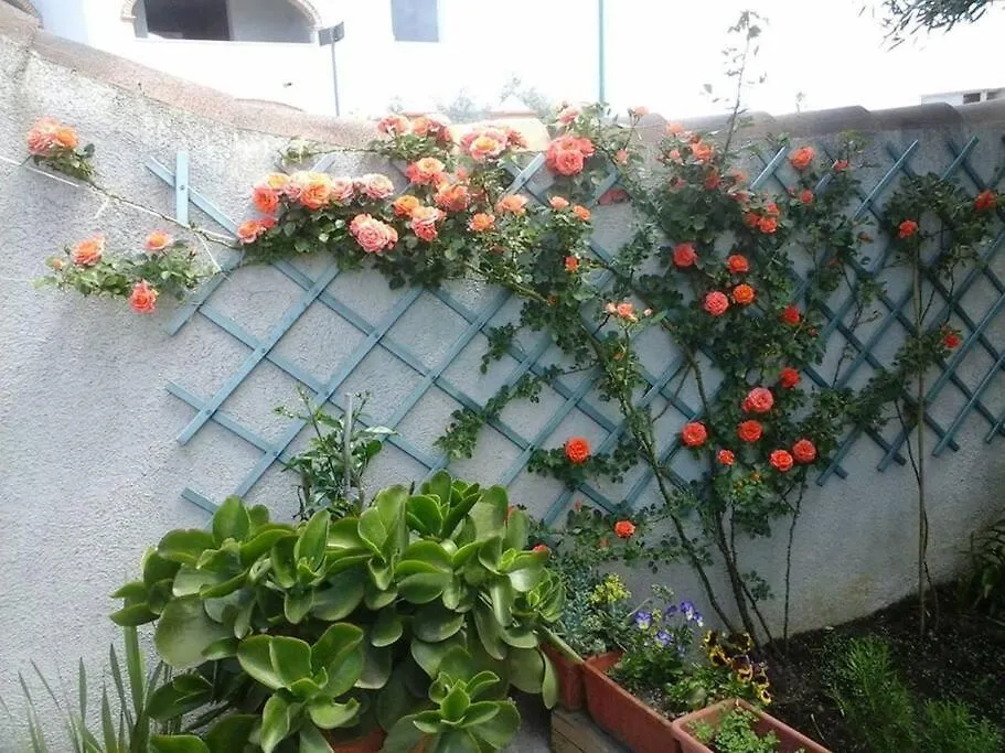 오로세 Gollai House 아파트